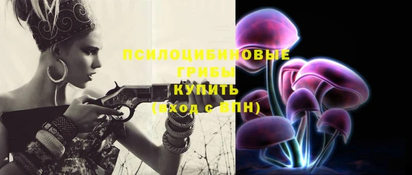 твердый Аркадак