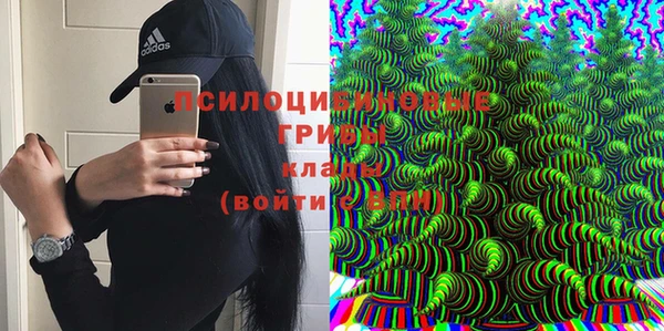 твердый Алзамай