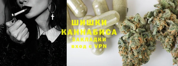 твердый Аркадак