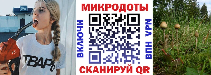 Псилоцибиновые грибы мухоморы  Чадан 